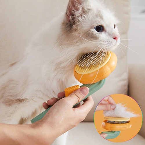 Cat Hair Brush